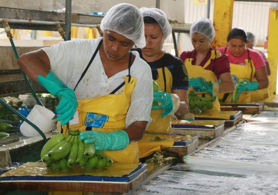 TLC con Corea del Sur abrirá más puertas a productos del agro