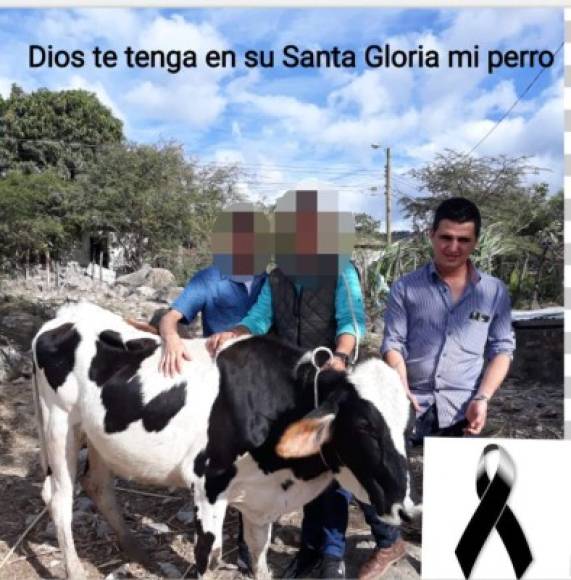 'Descansa en paz mi amigo del alma', escribió con esta foto un usuario en la cuenta de Facebook de la víctima.