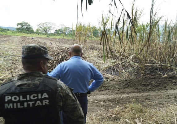 Hallan un cadáver en las cañeras de Villanueva Cortés