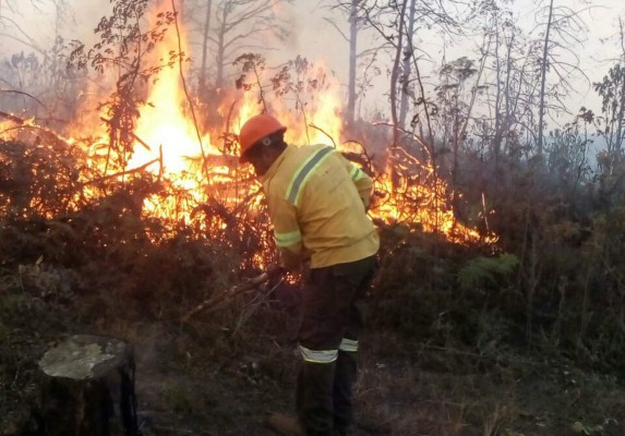 Mueren dos de los siete bomberos quemados en incendio