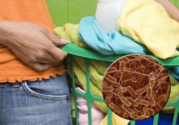 Las bacterias en la ropa están afectando tu salud  