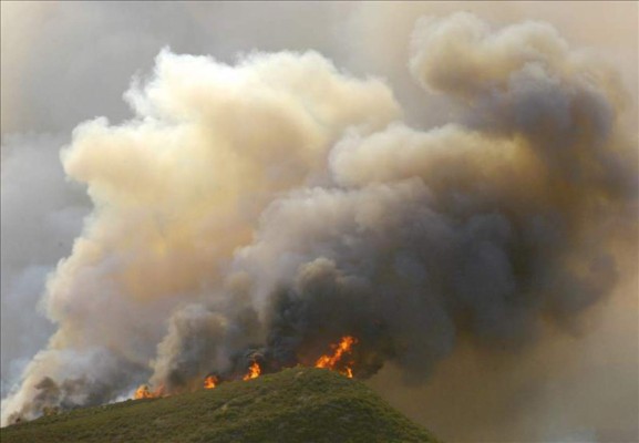 Incendios han destruido 20.479 hectáreas de bosques en Honduras en 2014