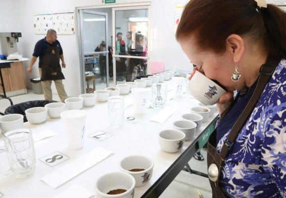 Unas 12 delegaciones visitan el país buscando cafés especiales
