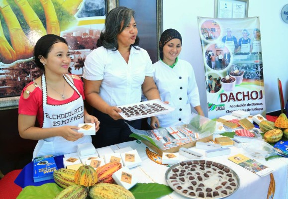Cacao hondureño crece con 600 hectáreas rehabilitadas