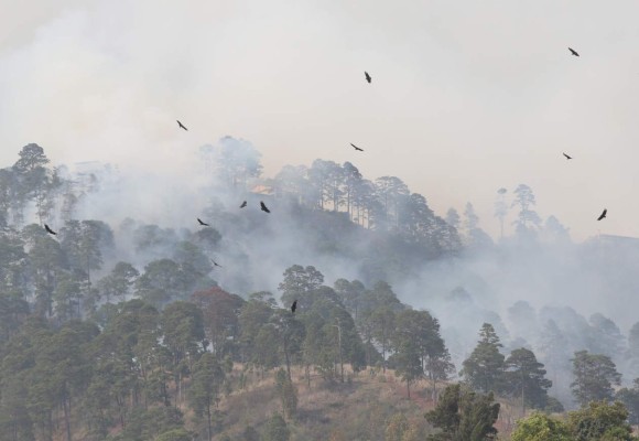 Foto: La Prensa