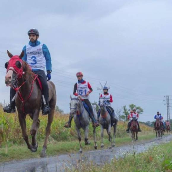 La equitación es una de las pasiones más grandes del heredero, y actual líder del consejo empresarial y deportivo de Dubái.<br/><br/>'Procedo de una familia que adora los caballos. Existe una conexión espiritual muy fuerte entre servidor y la equitación. Monto a caballo siempre que hay oportunidad porque me da una sensación de absoluta libertad', escribió en su página web.