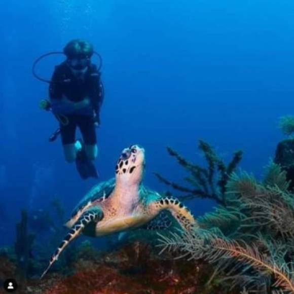 La instructora de buceo llegó a la isla en 2009 y desde entonces ha explorado la vida marina junto a su mejor compañera, una cámara fotográfica.<br/>