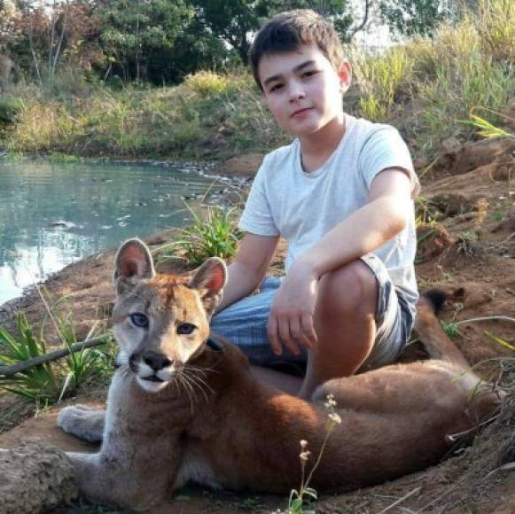 En una entrevista para BBC Brasil, los padres de Tiago, Leandro Silveira y Anah Jacomo explicaron que trabajan como biólogos, coordinando el Instituto Jaguar del país. <br/>