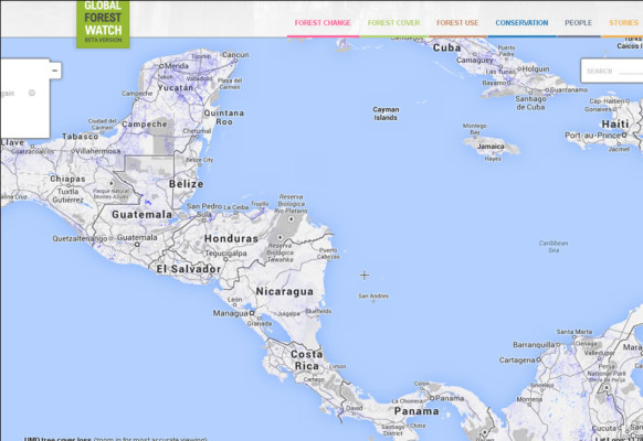 Lanzan web para rastrear deforestación global casi en tiempo real