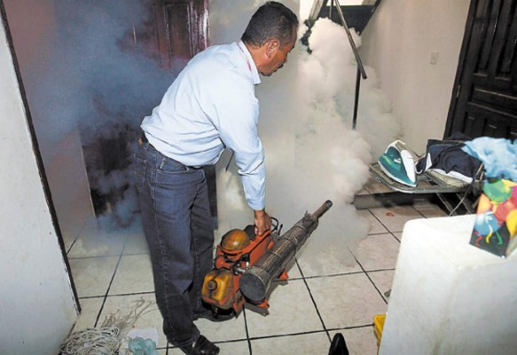 Alerta en cinco municipios de Cortés por brote de dengue