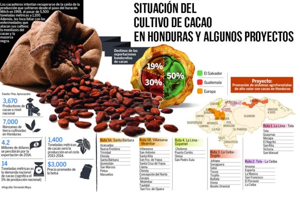 Potencian siembra de cacao en Honduras para cosecha 2014-15