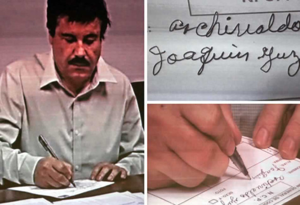 Declaración de 'El Chapo” Guzmán: 'Soy agricultor, cultivo maíz y frijol”