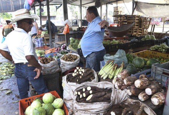 Huevos y lácteos suben de precio en los mercados de San Pedro Sula