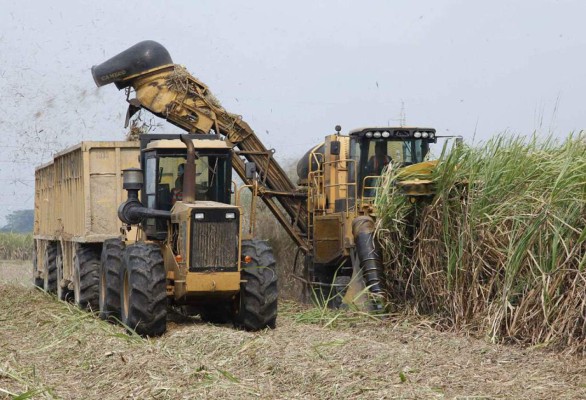 Buscan agilizar exoneración del ISV al sector agropecuario