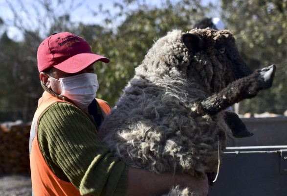 Cenizas del Cabulco se expanden por Argentina y Uruguay