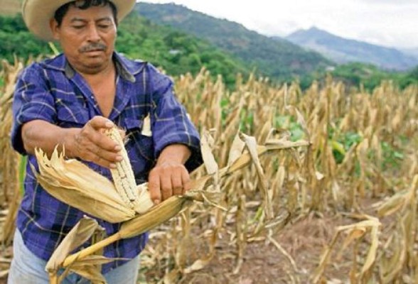 Harán censo de familias afectadas por El Niño