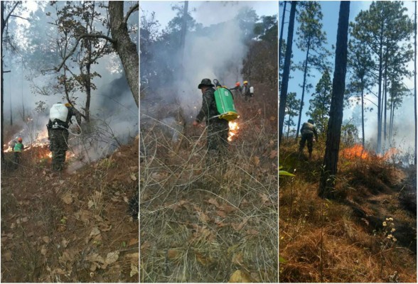 Buscan contener otro incendio forestal, esta vez en el occidente de Honduras