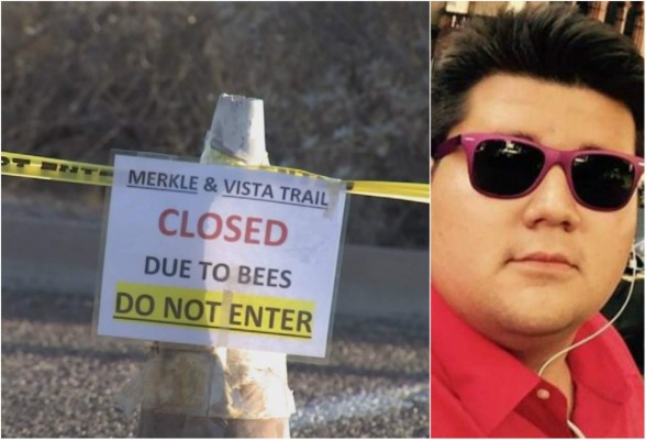 Muere tras ser picado por unas mil abejas en Arizona   