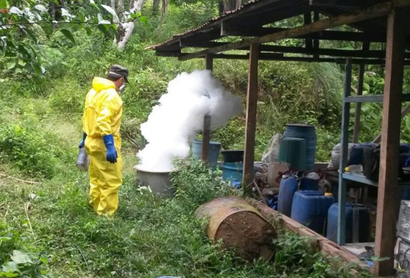 Destruyen narcolaboratorios e incineran droga en el norte de Honduras