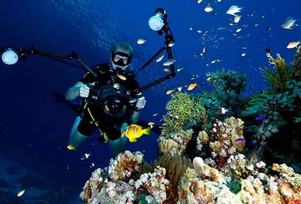 Fotógrafo alemán expondrá a La Ceiba en feria mundial de buceo