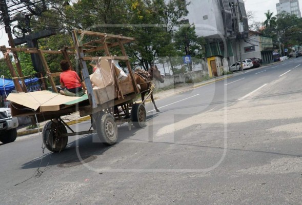 Foto: La Prensa