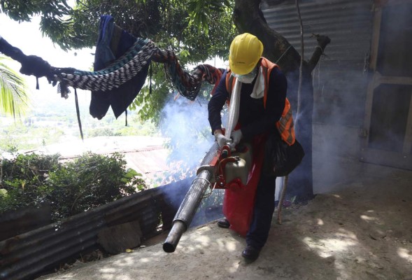 Más de 15,000 casas ya han sido fumigadas