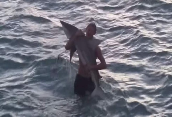 Hombre atrapa un tiburón con sus propias manos  