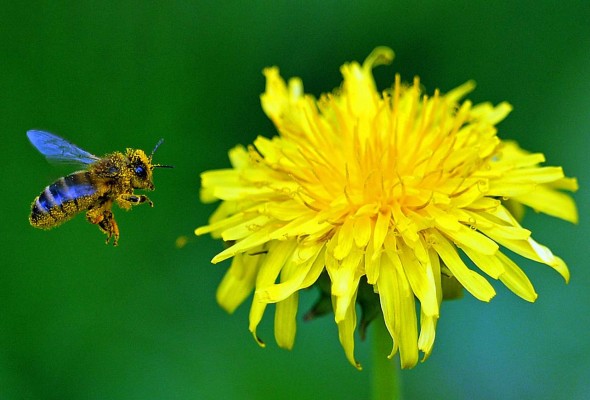 Las mejores imágenes en el Día de la Tierra