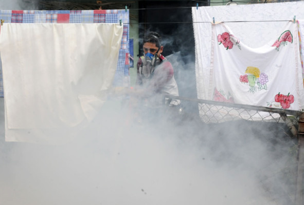 OPS pide a centroamericanos combatir el dengue, ya hay 29 muertos la región