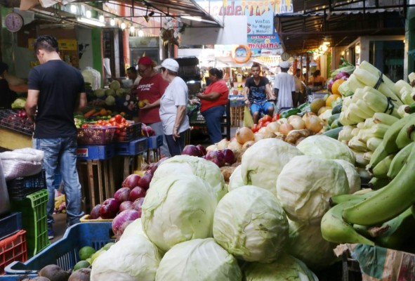 Empresas del sector agroalimentario buscan ampliar su red de negocios