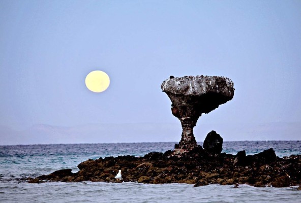 La exótica playa de Balandra en Baja California Sur