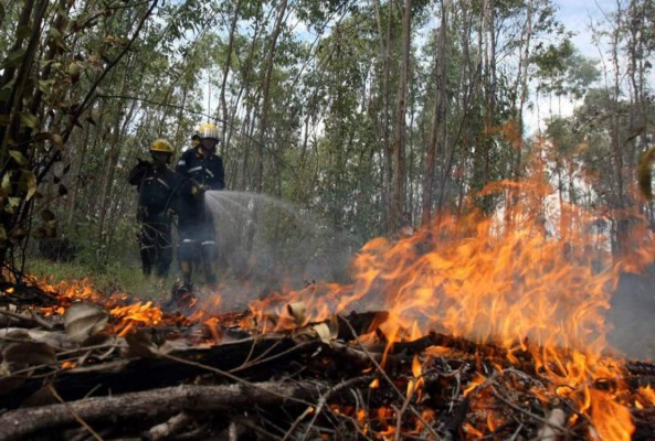 Los incendios forestales han arrasado 2,568 hectáreas en Honduras en 2020