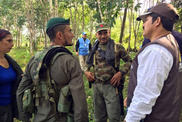 Santos dice que con FARC se harán sustituciones reales de cultivos ilícitos