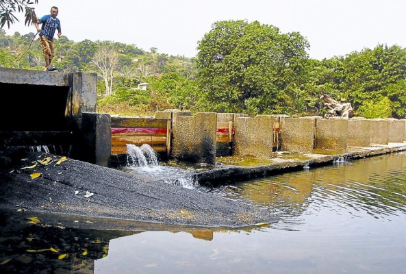 Analizan generar energía hídrica en el río Danto