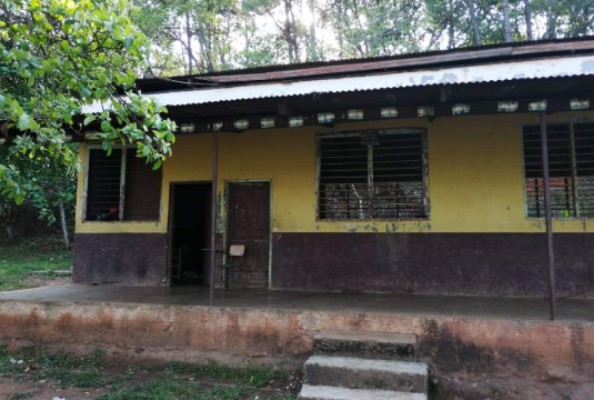 Decomisan droga y municiones en bodega de escuela de San Pedro Sula