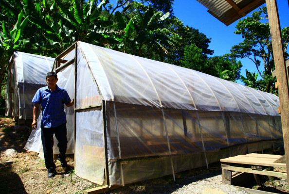 Cafetaleros arrancan con optimismo cosecha 2013-2014