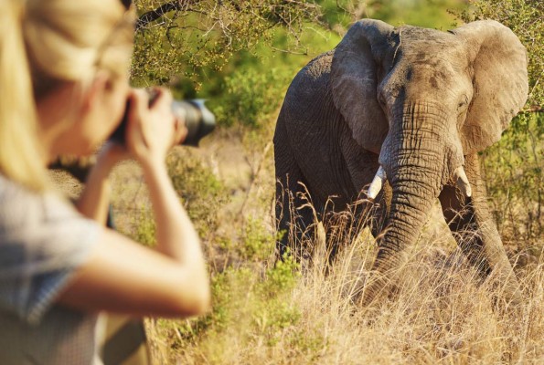 TripAdvisor no venderá recorridos turísticos con animales