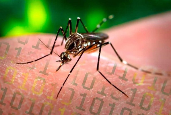 ¡Alerta! El virus zika también infecta las computadoras