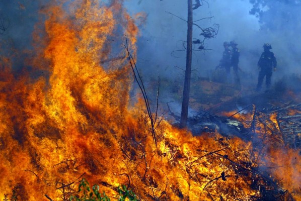 Bosques hondureños arden bajo fuego en el mes más crítico