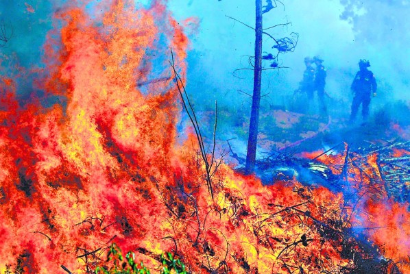 Vienen expertos en cambios climatológicas