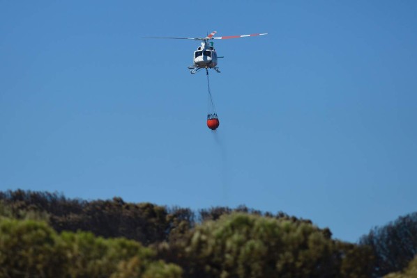 Incendio forestal arrasa bosque y provoca miles de evacuados en España