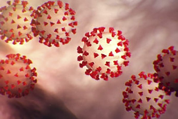 Qué son los anticuerpos y cómo te pueden salvar del coronavirus