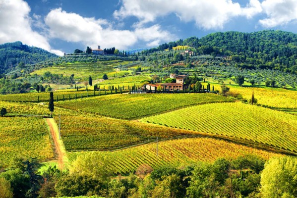 Landscape in Chianti region, Tuscany, Italy