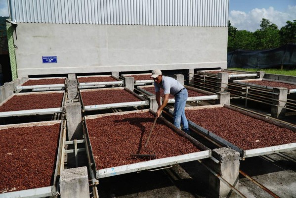 Honduras provee productos orgánicos a más de 26 países
