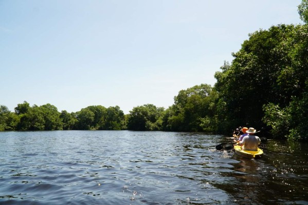 Parque Nacional Punta Izopo, santuario de biodiversidad