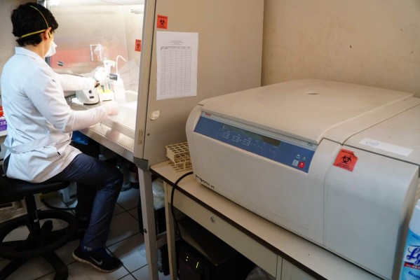 Laboratorio confirma diez casos de influenza A (H3N2) en San Pedro Sula