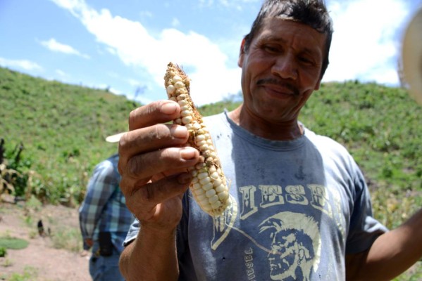 Foto: La Prensa