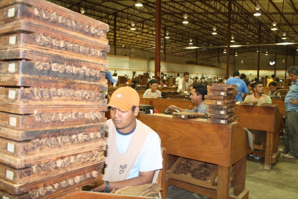 Exportación hondureña de tabaco proyecta crecimiento de 14%