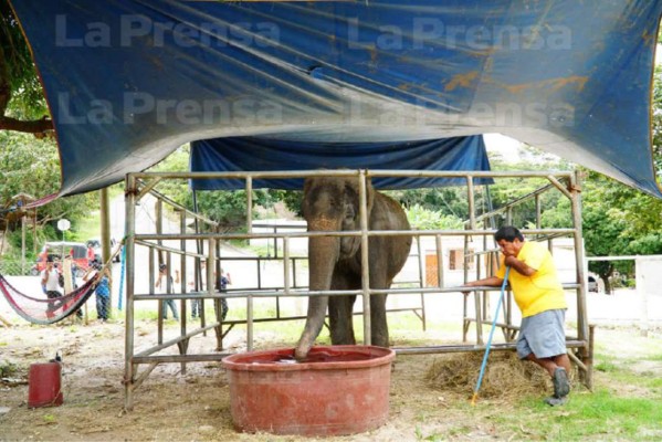 Foto: La Prensa