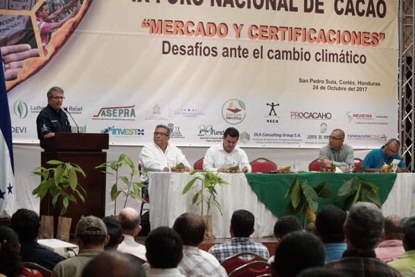 Honduras debe aprovechar la merma en producción de cacao